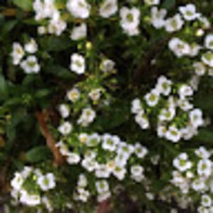 Meet your Posher, Hagan